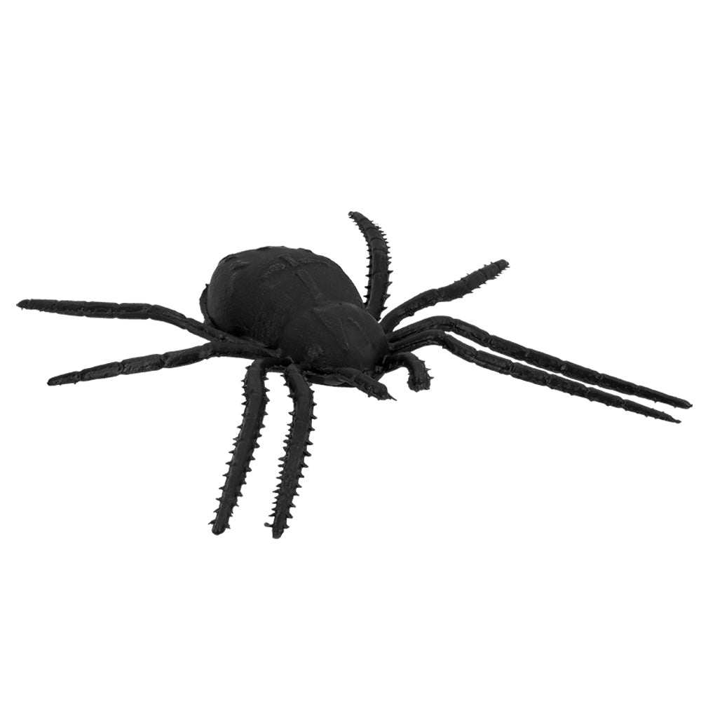 Cercueil Momie Halloween Deluxe - Décoration Complète avec Accessoires