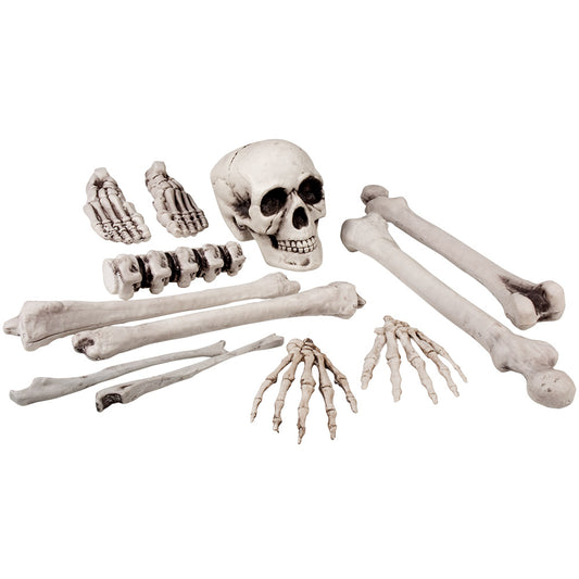 Kit Squelette Complet avec Filet - Décoration Halloween Réaliste