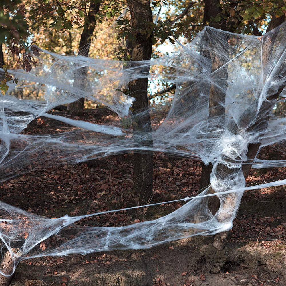 Toile d'Araignée Blanc Avec 30 Araignées - 500g Halloween