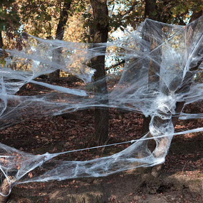 Toile d'Araignée Blanc Avec 30 Araignées - 500g Halloween