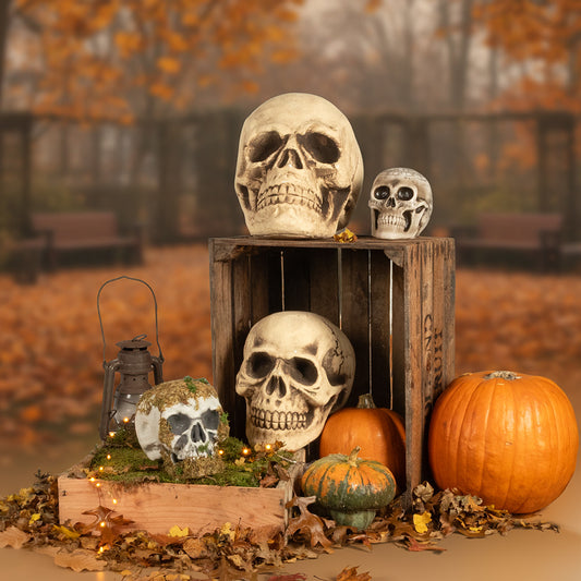 Crâne Décoratif en Résine - Accessoire Halloween Réaliste