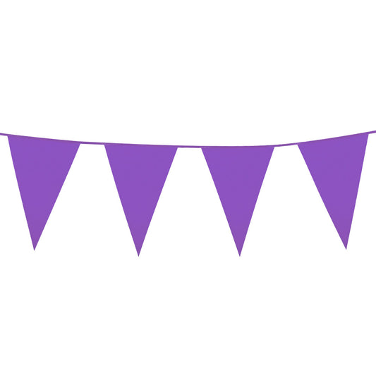 Guirlande Fanions Violet 20cm - Décoration Fête
