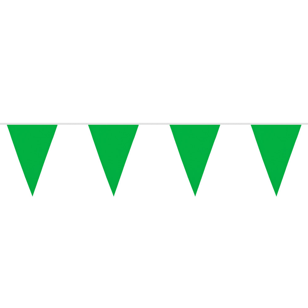 Guirlande Fanions Vert 6M - Décoration Fête Anniversaire