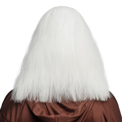 Perruque et Barbe Blanche Magicien - Déguisement Complet