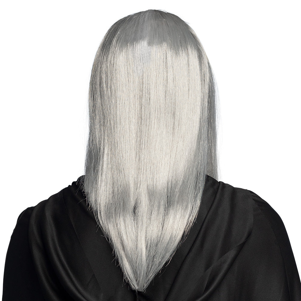 Perruque Magicien Gris avec Barbe - Déguisement Sorcier