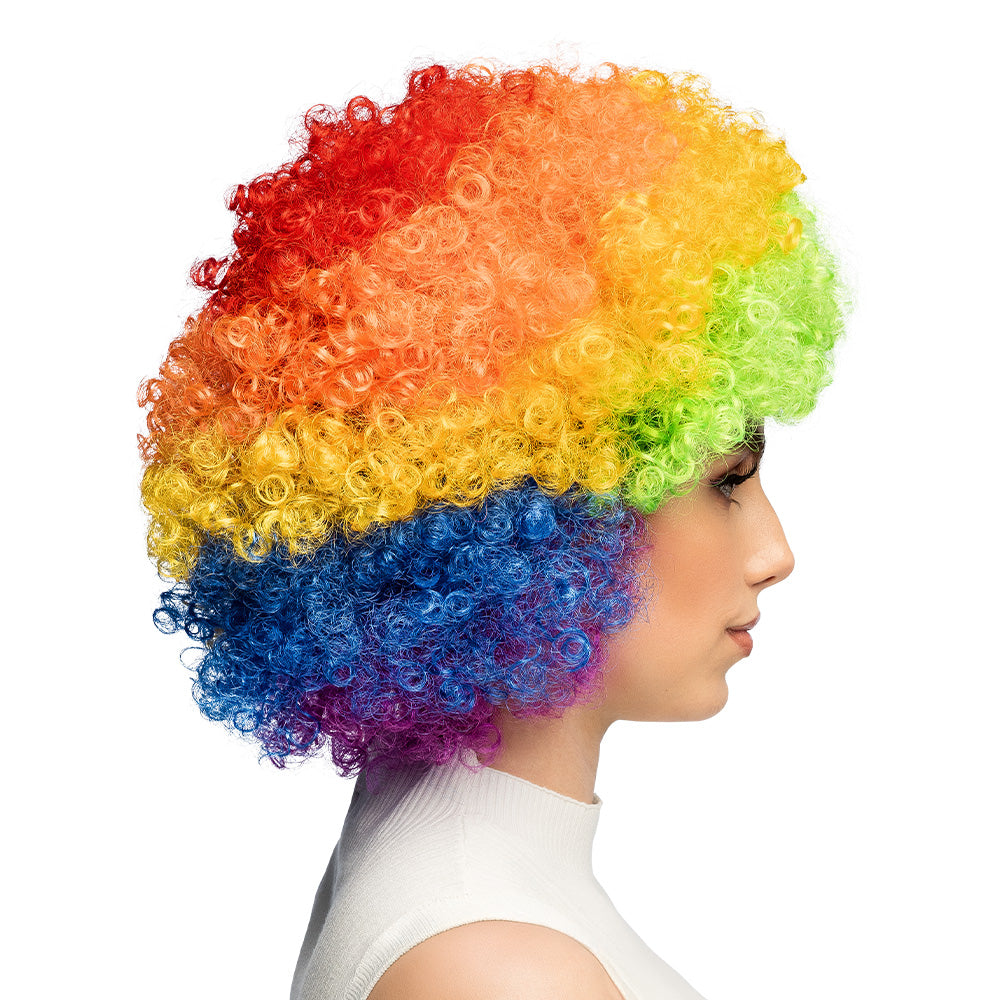Perruque Arc-en-ciel Multicolore Boucles - Déguisement Clown Festif
