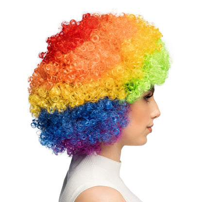 Perruque Arc-en-ciel Multicolore Boucles - Déguisement Clown Festif