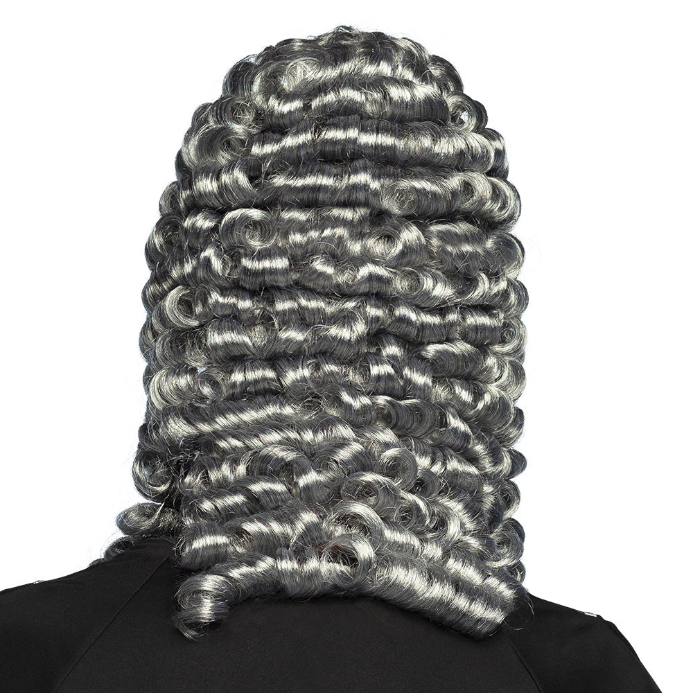 Perruque Juge Baroque Gris Argent - Accessoire Déguisement Adulte