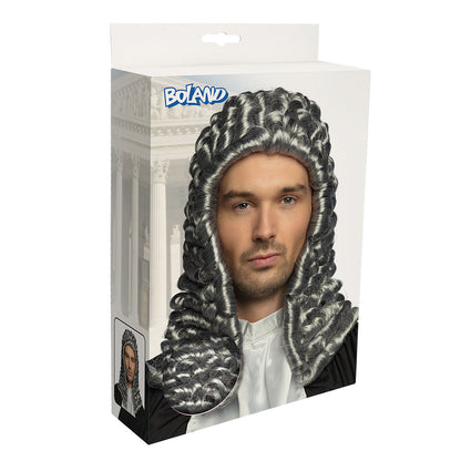 Perruque Juge Baroque Gris Argent - Accessoire Déguisement Adulte