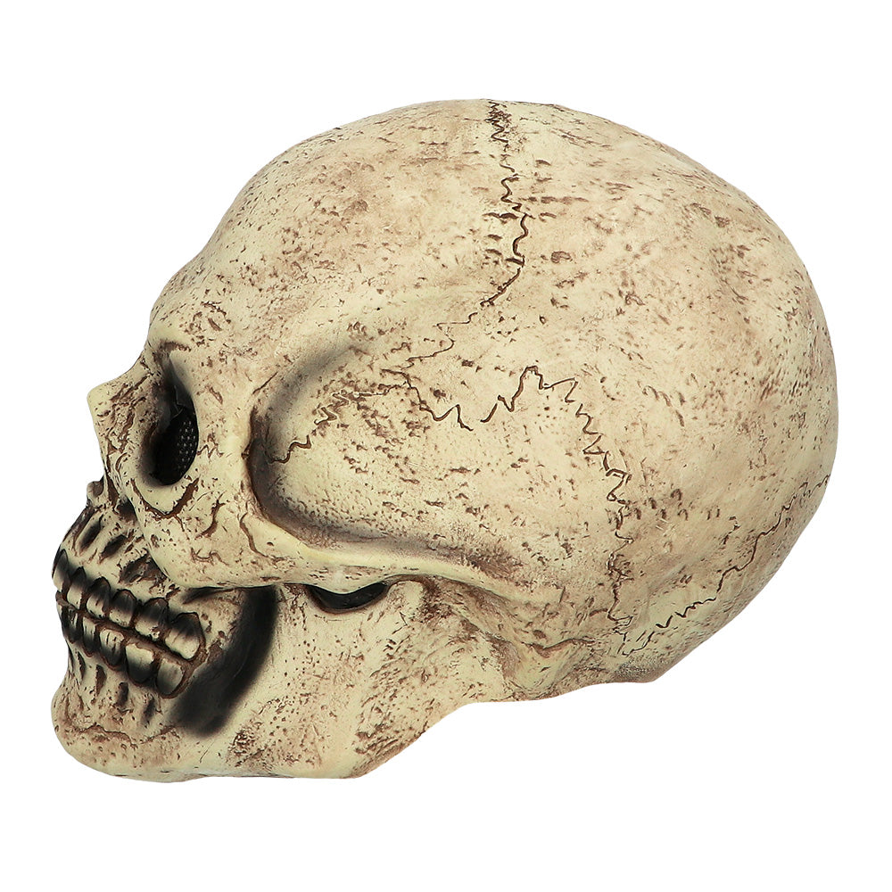 Masque Crâne Zombie Réaliste - Déguisement Halloween Adulte
