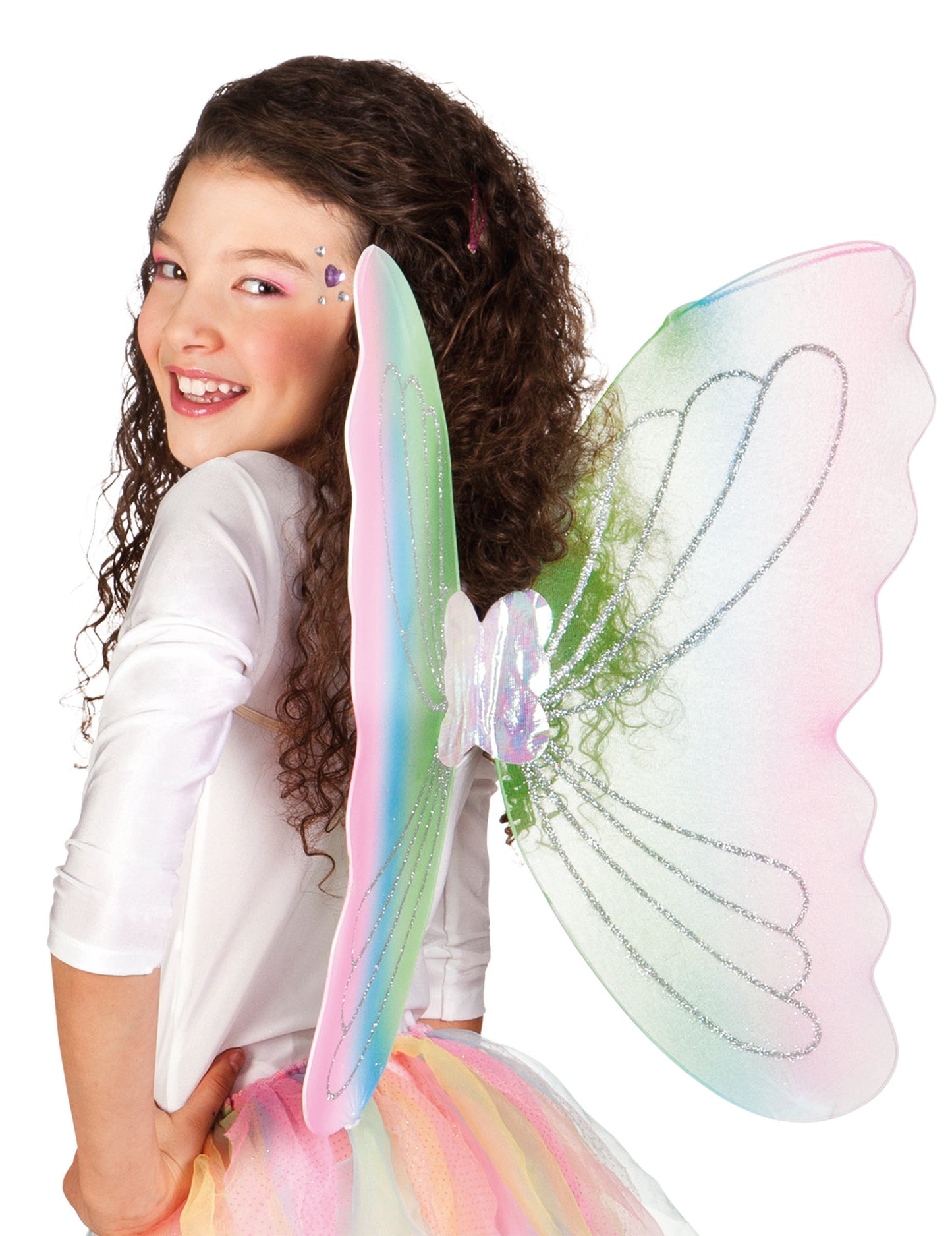 Ailes papillon multicolore