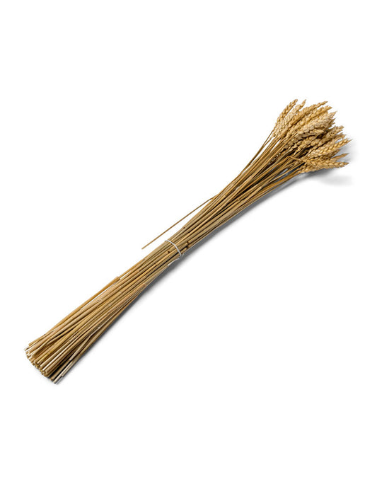 Bouquet d'épis de blé naturel 60 cm