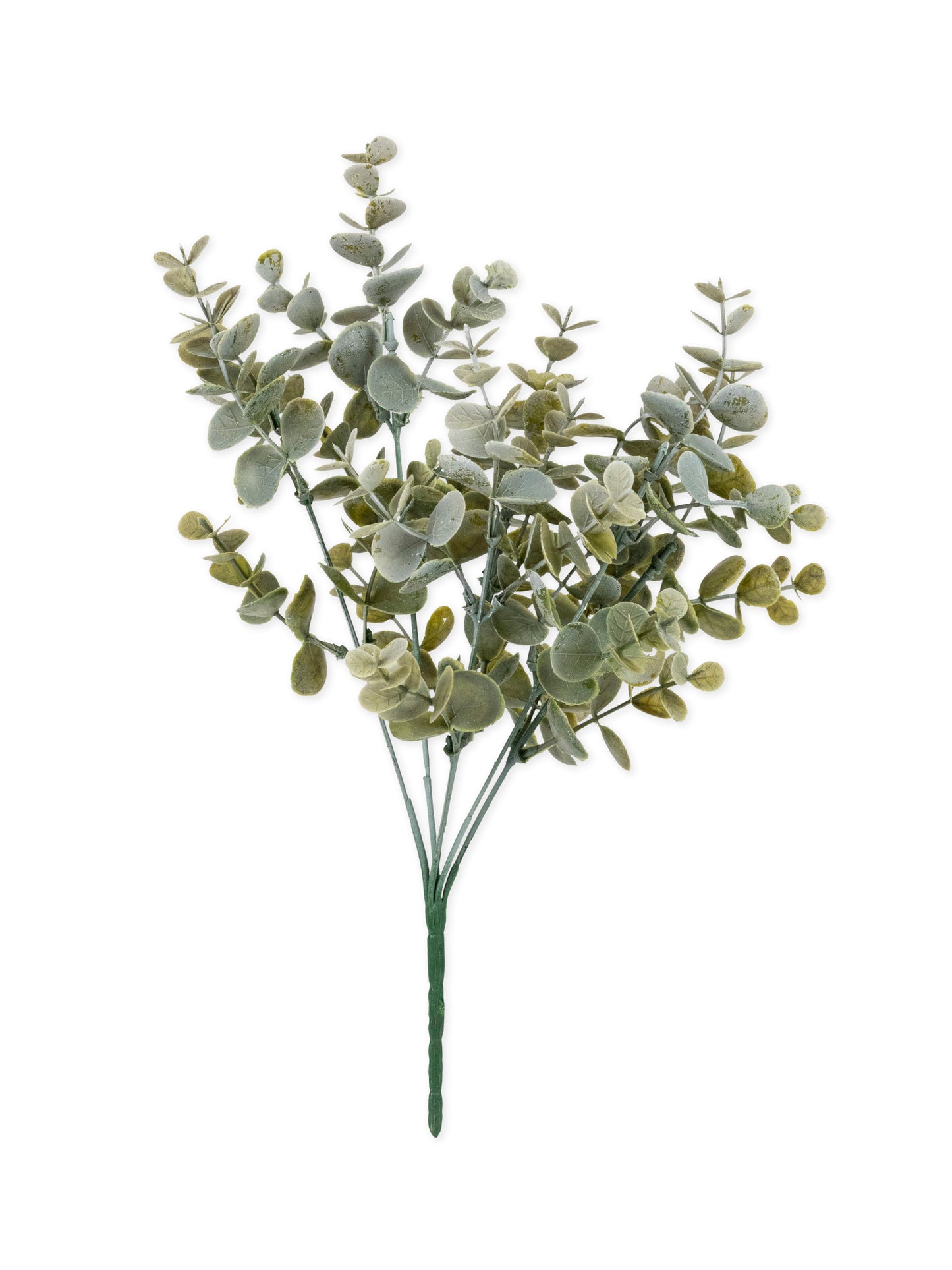 Bouquet feuilles eucalyptus vert 35 cm