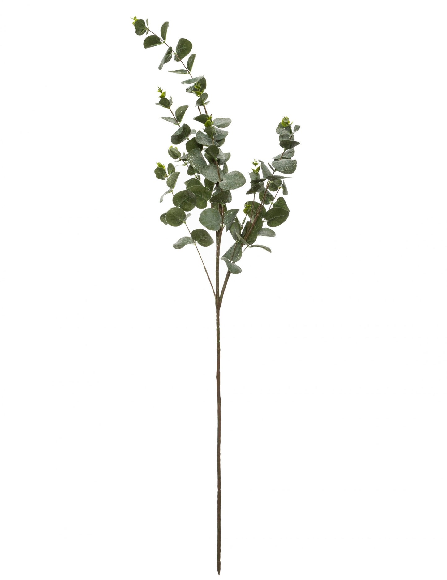 Branche d'eucalyptus 98 cm