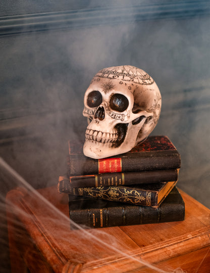 Crâne de squelette avec pentagramme 18 x 12 x 15 cm