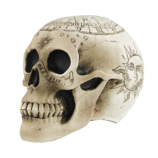Crâne de squelette avec pentagramme 18 x 12 x 15 cm
