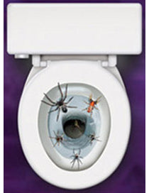 Décoration autocollante pour wc Araignées 30 x 43 cm