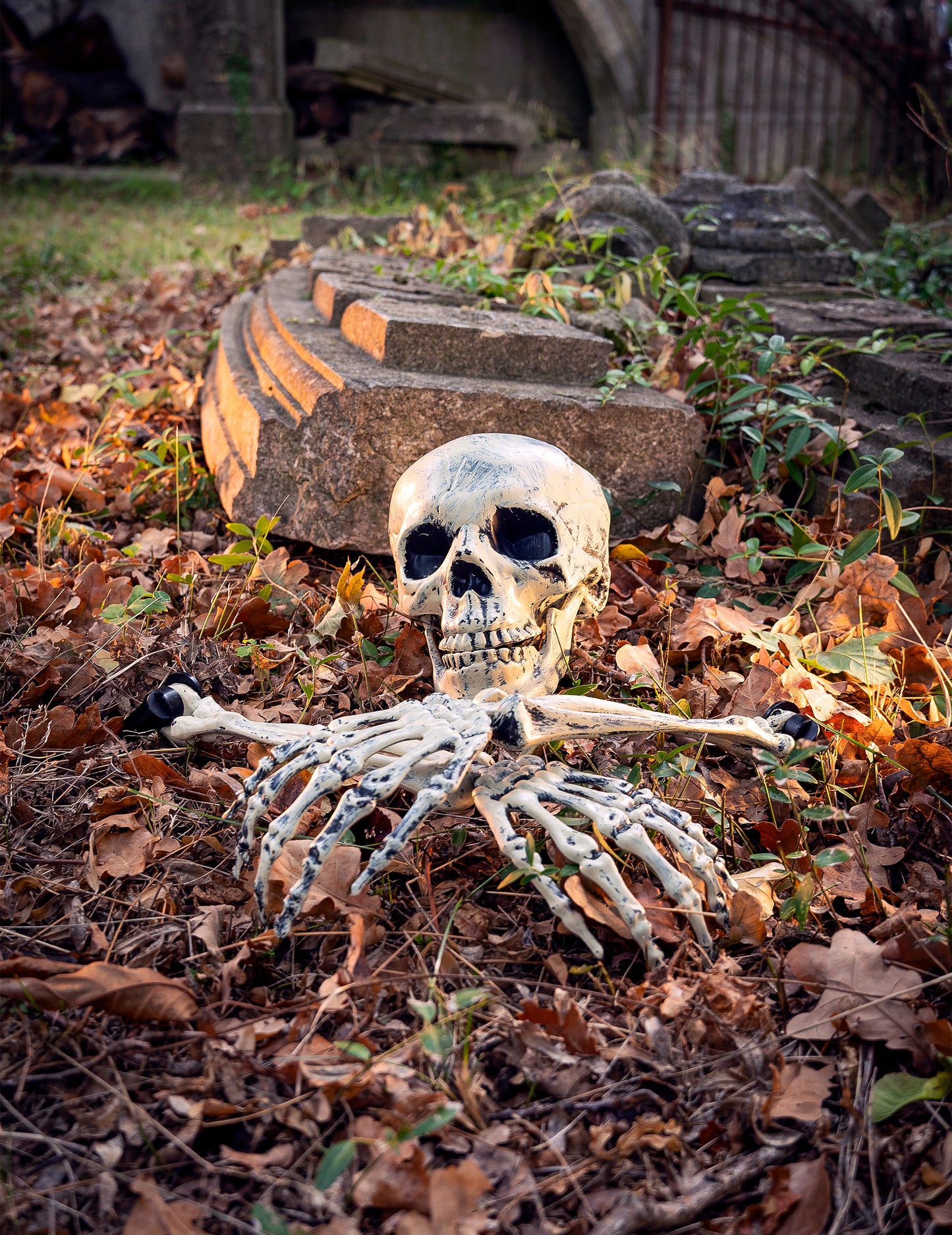 Décoration bras et crâne de squelette à planter