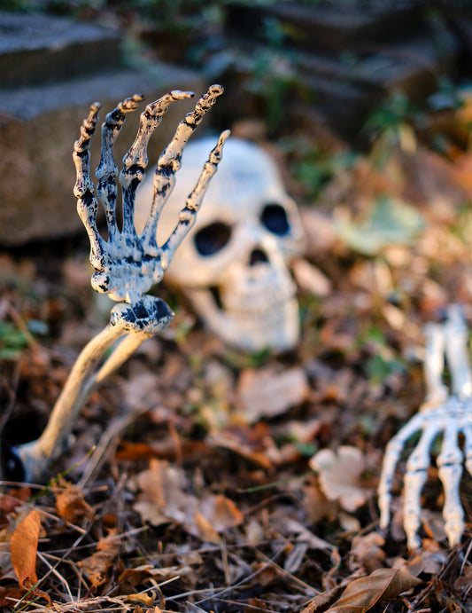 Décoration bras et crâne de squelette à planter