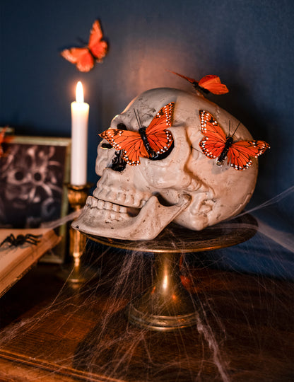 Décoration crâne 24 x 18 cm Halloween