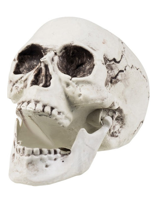 Décoration crâne 24 x 18 cm Halloween