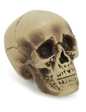 Décoration crâne plastique 18 cm