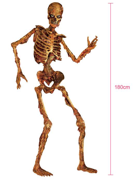 Décoration squelette articulé en décomposition 180 cm