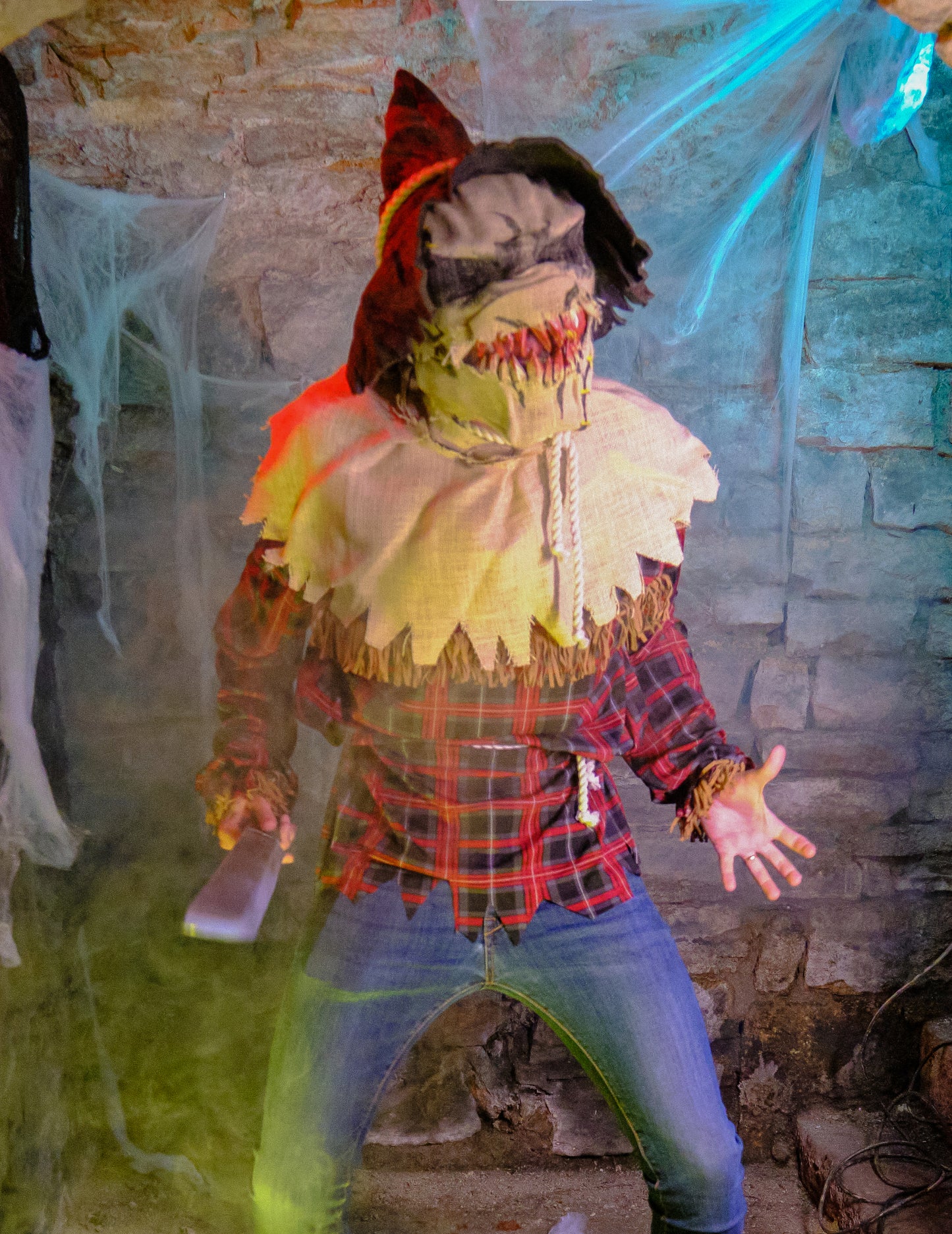 Déguisement épouvantail effrayant luxe homme