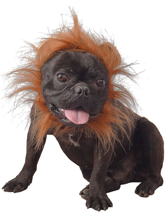 Déguisement lion pour chien