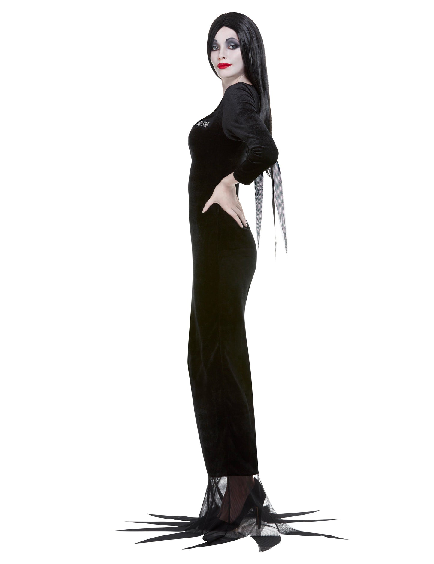 Déguisement Morticia Famille Addams femme