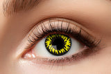 Yellow wolf contact lenses