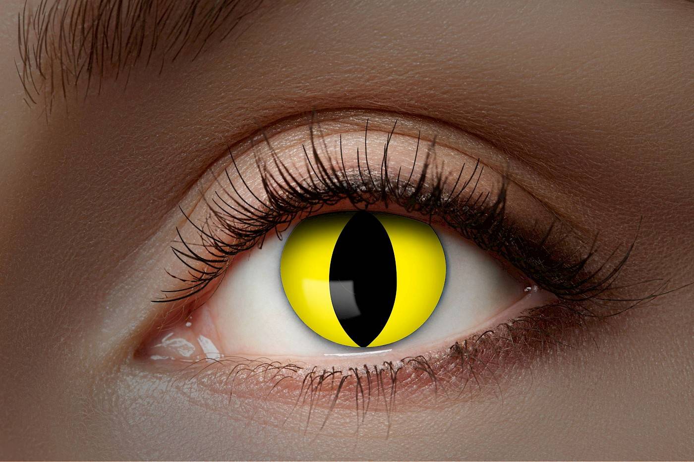Yellow cat UV contact lenses