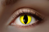 Yellow cat UV contact lenses