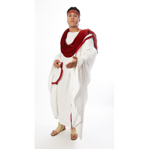 Prestige Roman Senator Costume