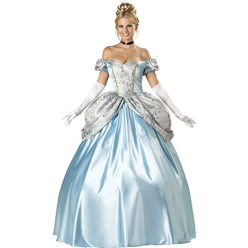Enchanted Princess Women's Costume