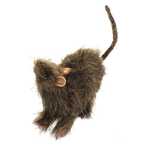 brown rat in fur