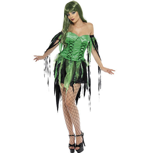 Wicked Witch Woman Costume