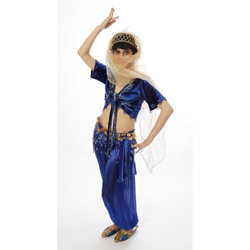 Déguisement prestige danseuse orientale