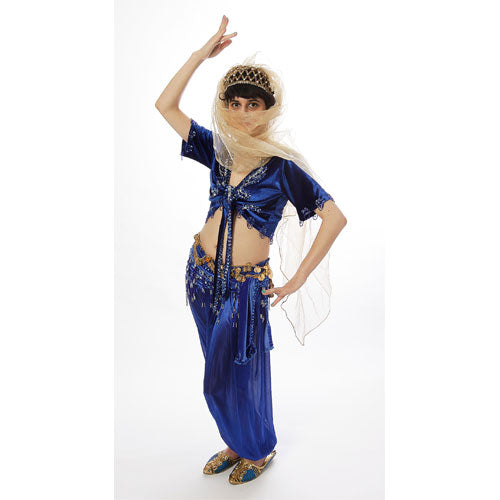 Oriental dancer prestige costume