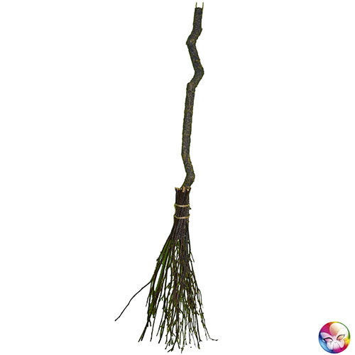 bewitched witch broom