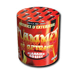 Flamme de retraite rouge