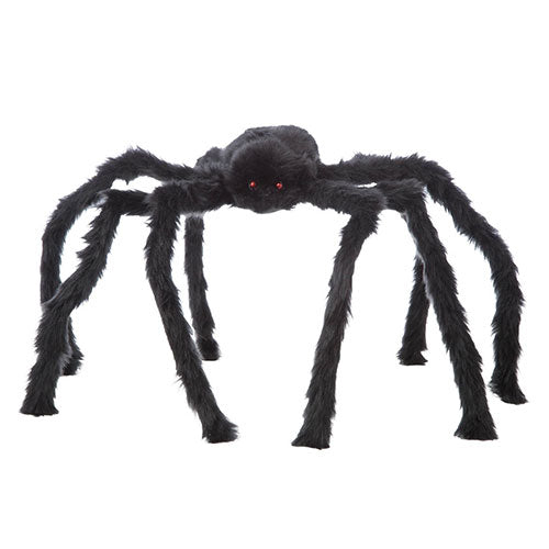 giant black spider