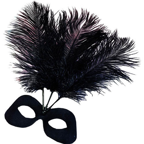 Loup Guadeloupe noir plumes