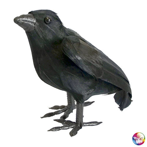 Corbeau plumes noires décoration