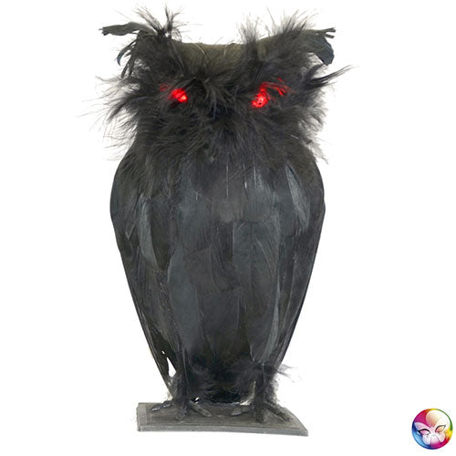 Black owl luminous eyes