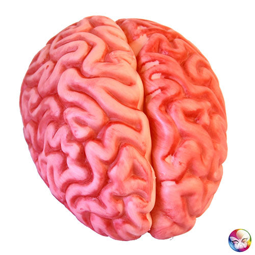 Plastic brain decoration
