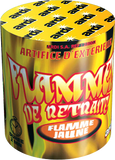 Flamme de retraite jaune