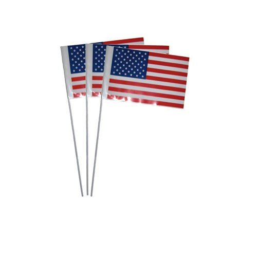 Drapeau USA 20 x 30