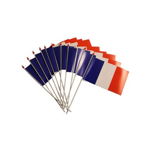 Drapeau France 20 x 30