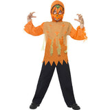 Pumpkin kit child costume